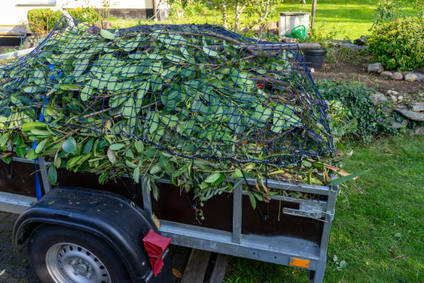 Best Hoarding Cleanup  in Stone Park, IL